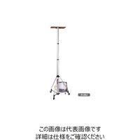 長谷川工業 荷揚機 H-60J 1台（直送品）