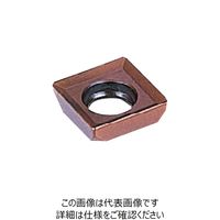 大昭和精機 チップ CM0502SE(ACP300) 1セット(10個)（直送品）