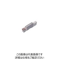 タンガロイ 焼結体(NB) SGN300ー020:BX360 1箱(1個)（直送品）
