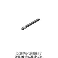 タンガロイ ガンドリル(LJ) SLJ1200L1250NA:G2F 1箱(1個)（直送品）