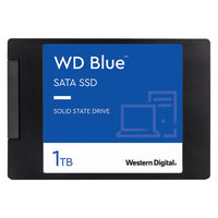 WesternDigital WDS100T2B0A 1個