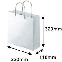 アスクル 樹脂カバー付き 手提げ紙袋 ホワイト S 1袋（10枚入）  オリジナル（わけあり品）