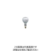 岩崎電気 岩崎 セルフバラスト水銀ランプ110V750W BHRF110V750W 1個（直送品）