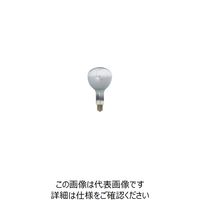 岩崎電気 岩崎 セルフバラスト水銀ランプ220V750W BHRF220V750W 1個（直送品）