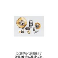 協育歯車工業 ウォームギヤ モジュール 3 圧力角 20°(並歯) G3A 40R1ー16 40R1-16 1個（直送品）