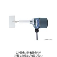 パドル式レベルスイッチ（耐熱Max.100℃保護管タイプ） W-35X80，G3/4， AC200/220V（直送品）