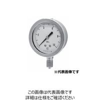 長野計器 グリセリン圧力計/AUPT1/4-60 GV50-173X15MPA 1個（直送品）