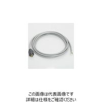 アメリカン電機 引掛形3112Nコードセット 3112NーCS 1個（直送品）