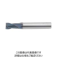 不二越（NACHI） アクアREVOミル 2枚刃 1.5D Gタイプ RVM2060G-1.5D 1本（直送品）
