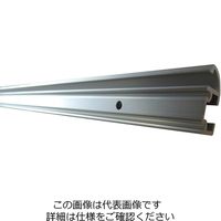 【霞拳志朗 様リピート品】エイスース VA24DQLB 杉田エース ピクチャーレイル ギャラリー DA(後付用)4000S