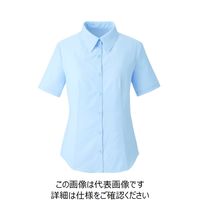 ハネクトーン早川 ブラウス（半袖） サックス 15号 8344-2-15 1枚（直送品）