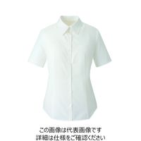 ハネクトーン早川 ブラウス（半袖） ホワイト 15号 8344-7-15 1枚（直送品）