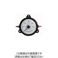長野計器 長野 普通形圧力計(A枠立形・φ100・G3/8B・0.0~1.00Mpa) AE20