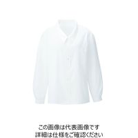 ハネクトーン早川 ブラウス（長袖） ホワイト 13号 8451-17-13 1枚（直送品）