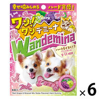 【アウトレット】グミ 食べきりサイズ ワンワンデミーナグミ 60g 1セット（1個×6）