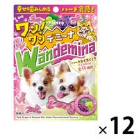 グミ 食べきりサイズ ワンワンデミーナグミ 60g 1セット（1個×12）
