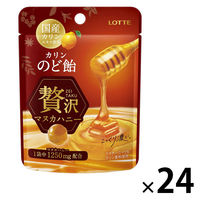 のど飴 キャンディ カリンのど飴 贅沢マヌカハニー ミニパウチ 25g 1セット（1個×24）
