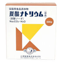炭酸ナトリウム 500g 1個 小堺製薬