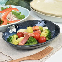 金正陶器 窯変紺くも型楕円鉢 28-052-028-ka 1セット(6個)（直送品）