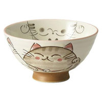 金正陶器 ミケ 中平 28-371-098-i 1セット(10個)（直送品）