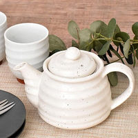 金正陶器 粉引 ポット 茶コシ付 28-394-078-a 1個（直送品）