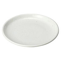 金正陶器 豊明 ユーラシア 粉引 8.0皿 28-448-028-tu 1セット(6個)（直送品）