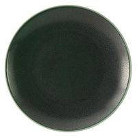 金正陶器 フィノ アイビーグリーン 24cmプレート 54-13671004 1セット(3個)（直送品）