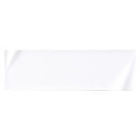 金正陶器 ネプチューン ピュアホワイト 32cmナロープレート 54-14000091 1個（直送品）