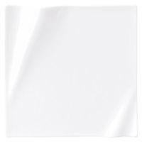 金正陶器 ネプチューン ピュアホワイト 20cmスクエアープレート 54-14000082 1個（直送品）