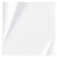 金正陶器 ネプチューン ピュアホワイト 28cmスクエアープレート 54-14000079 1個（直送品）