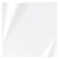 金正陶器 ネプチューン ピュアホワイト 25cmスクエアープレート 54-14000080 1個（直送品）