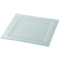 金正陶器 シーニュ クリア 24.5cmスクエアーリムプレート 54-g2770062 1セット(3個)（直送品）