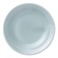 金正陶器 青彩 リム4.0皿 65-50580010 1セット(10個)（直送品）