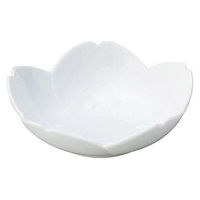 金正陶器 桜 白 浅鉢 65-56300021 1セット(6個)（直送品）