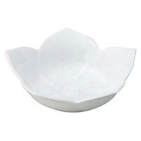 金正陶器 桔梗 白 浅鉢 大 65-56300001 1セット(6個)（直送品）