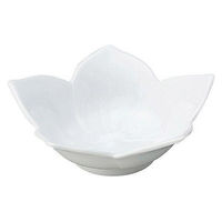 金正陶器 桔梗 白 浅鉢 小 65-56300002 1セット(6個)（直送品）