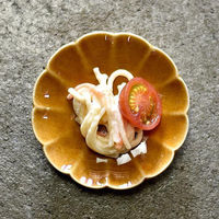 金正陶器 ブラウン丸リンカ小皿 g-1942-18 1セット(10個)（直送品）