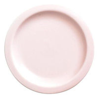金正陶器 ピンクリム小皿 g-1942-04 1セット(10個)（直送品）