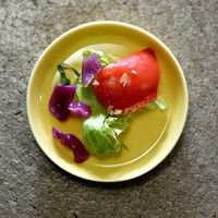 金正陶器 豆皿イエロー丸切立小皿 g-1942-19 1セット(10個)（直送品）