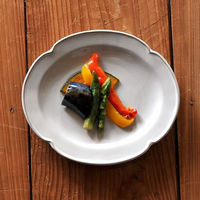 金正陶器 デプレホワイトオーバルプレート S g-2203-13 1セット(6個)（直送品）