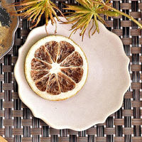 金正陶器 ホワイトチタンマット桔梗プレートS g-2215-11 1セット(10個)（直送品）