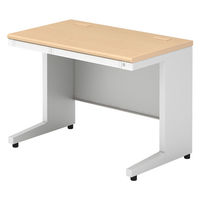 【組立設置込】プラス US-2 平机 幅1000×奥行600mm ホワイトメープル×ホワイト US-NS106H WM/W4 1台（直送品）