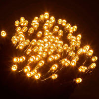 ポップギャラリー(POPGALLERY) 防滴100球LEDライト(ゴールド) TG5-1102GO 1本（直送品）