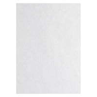 シモジマ HEIKO 不織布袋 不織布インナーバッグ 25ー35 ホワイト 008733913 1セット(1セット(100枚入)×20)（直送品）