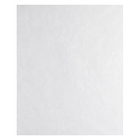 シモジマ HEIKO 不織布袋 不織布インナーバッグ 45ー55 ホワイト 008733917 1セット(1セット(100枚入)×5)（直送品）