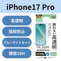 iPhone17 Pro ガラスライクフィルム 高透明 ブルーライトカット ハードコート9H PM-A25CFLGLBL エレコム 1個（直送品）