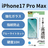iPhone17 Pro Max KXtB  u[CgJbg 10H PM-A25DFLGGBL GR 1iij