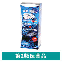 サリトロンFBローション 100ml プロダクトイノベーション  筋肉痛 関節痛【第2類医薬品】