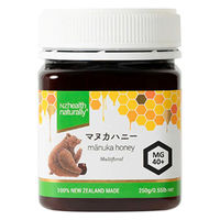 生活の木　マヌカハニー MG40+　1個（250g） ニュージーランド産　はちみつ