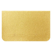 【アウトレット】【2026年度版手帳】レイメイ藤井 カードサイズダイアリー ゴールド RFD2613G 1個